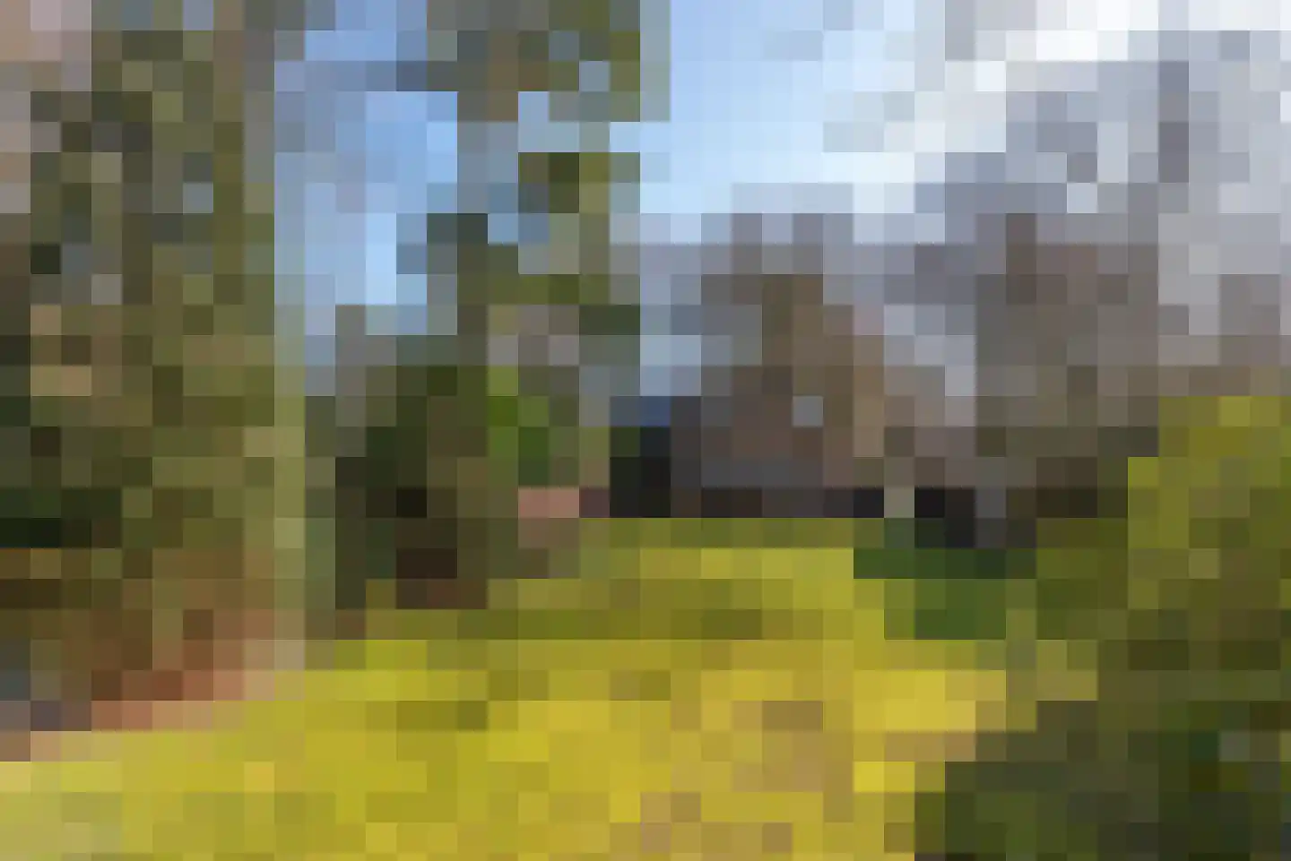 Van Ostadelaan 3 Huis ter Heide thumbnail 49