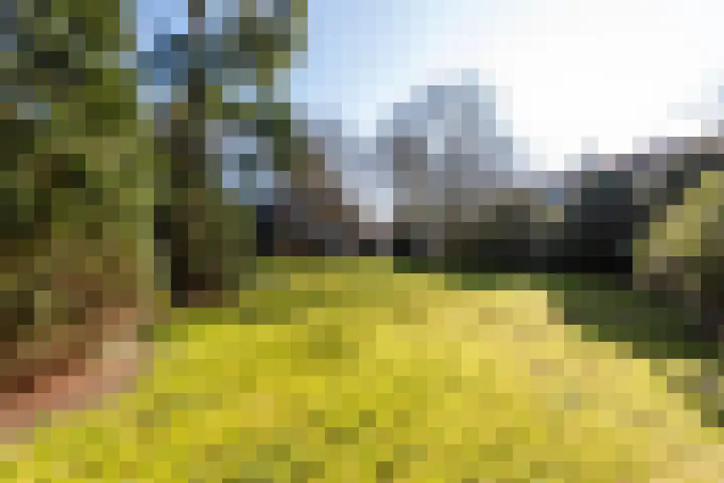 Van Ostadelaan 3 Huis ter Heide thumbnail 50