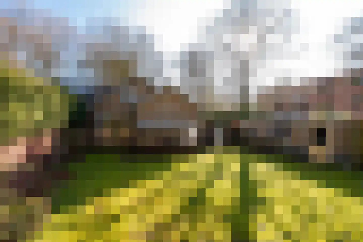 Van Ostadelaan 3 Huis ter Heide thumbnail 51