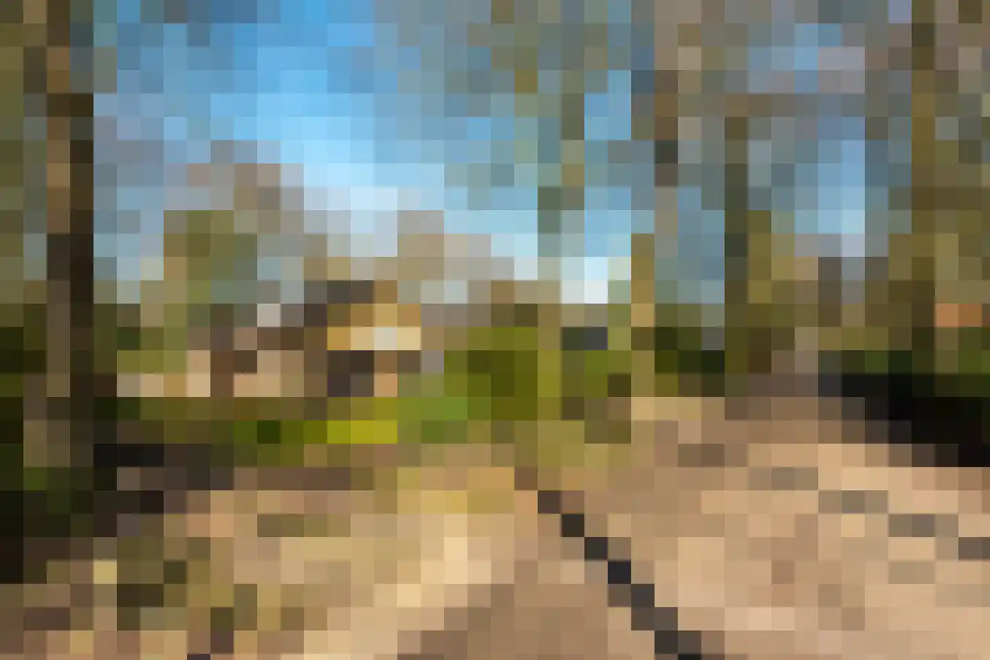 Van Ostadelaan 3 Huis ter Heide thumbnail 6