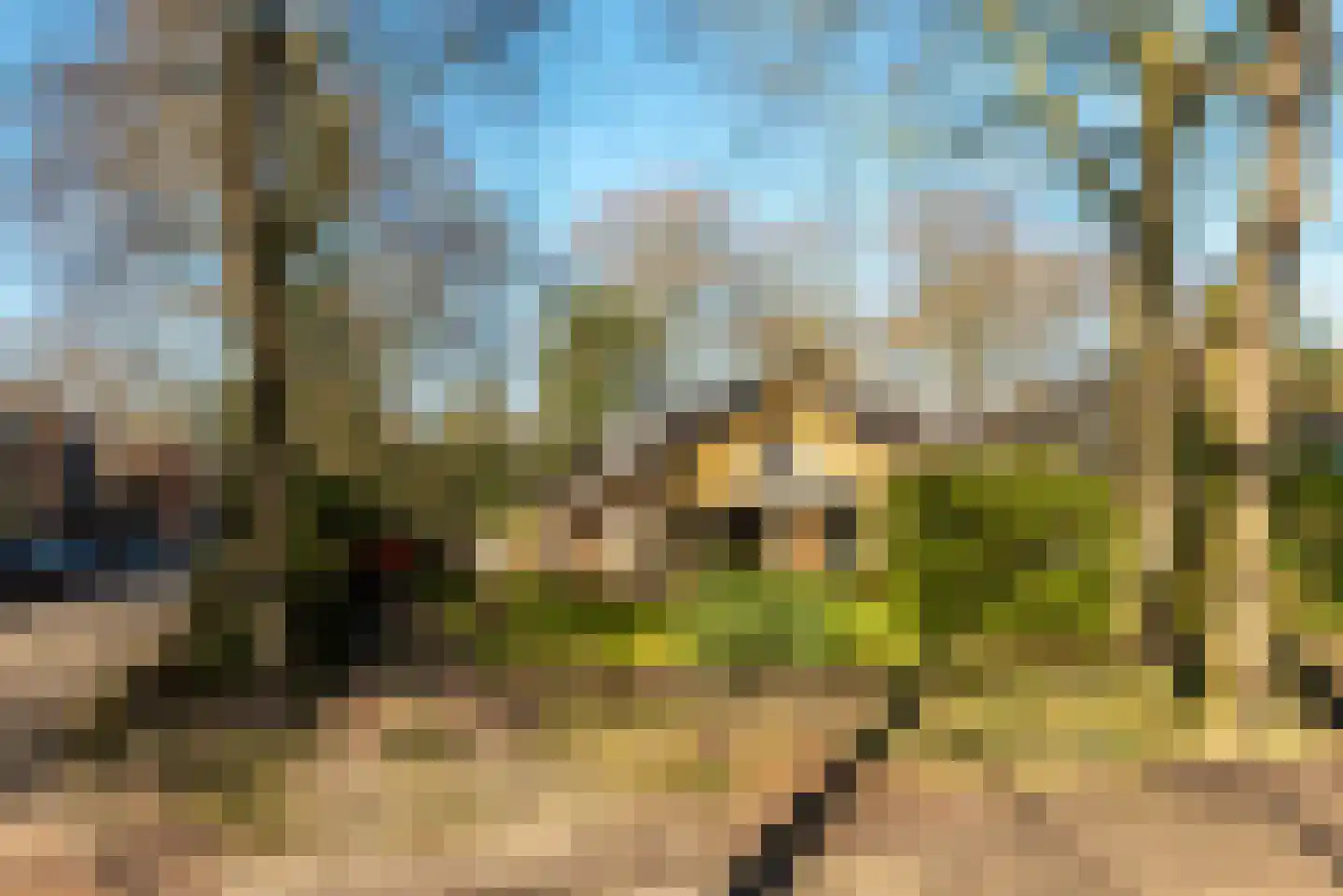 Van Ostadelaan 3 Huis ter Heide thumbnail 7