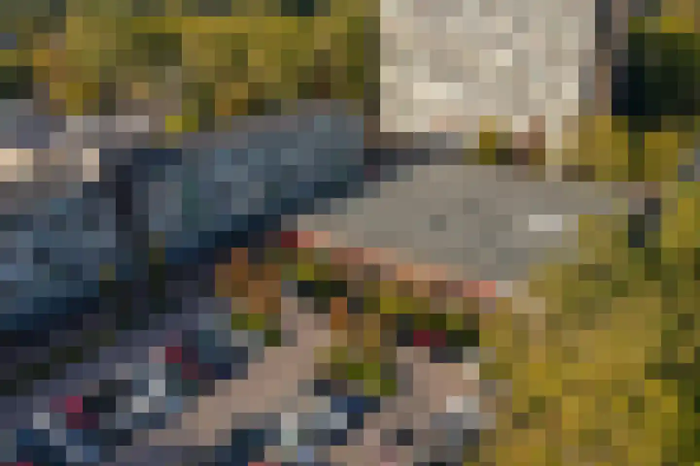 Van Ostadelaan 304 Alkmaar thumbnail 19