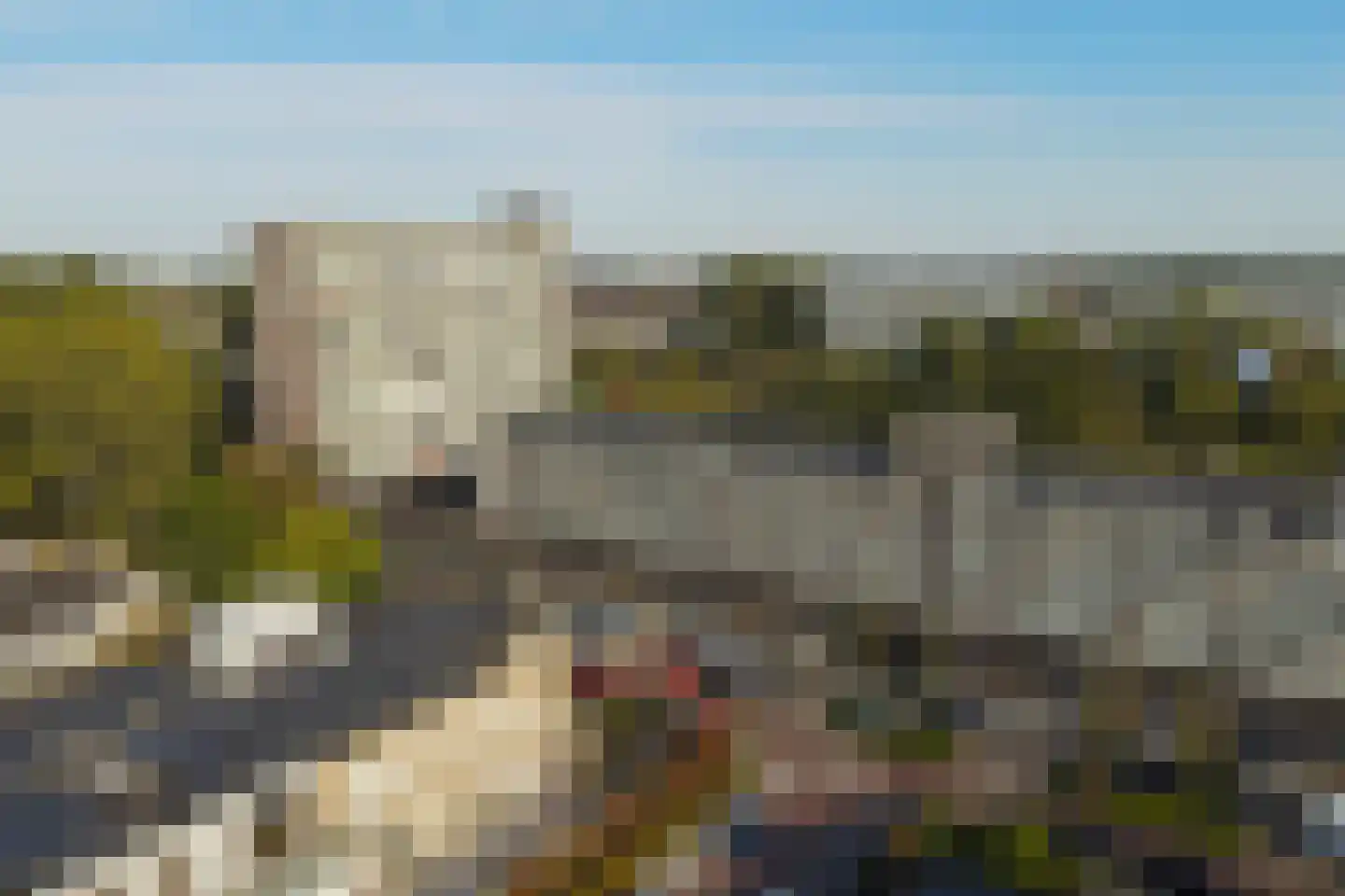 Van Ostadelaan 304 Alkmaar thumbnail 21