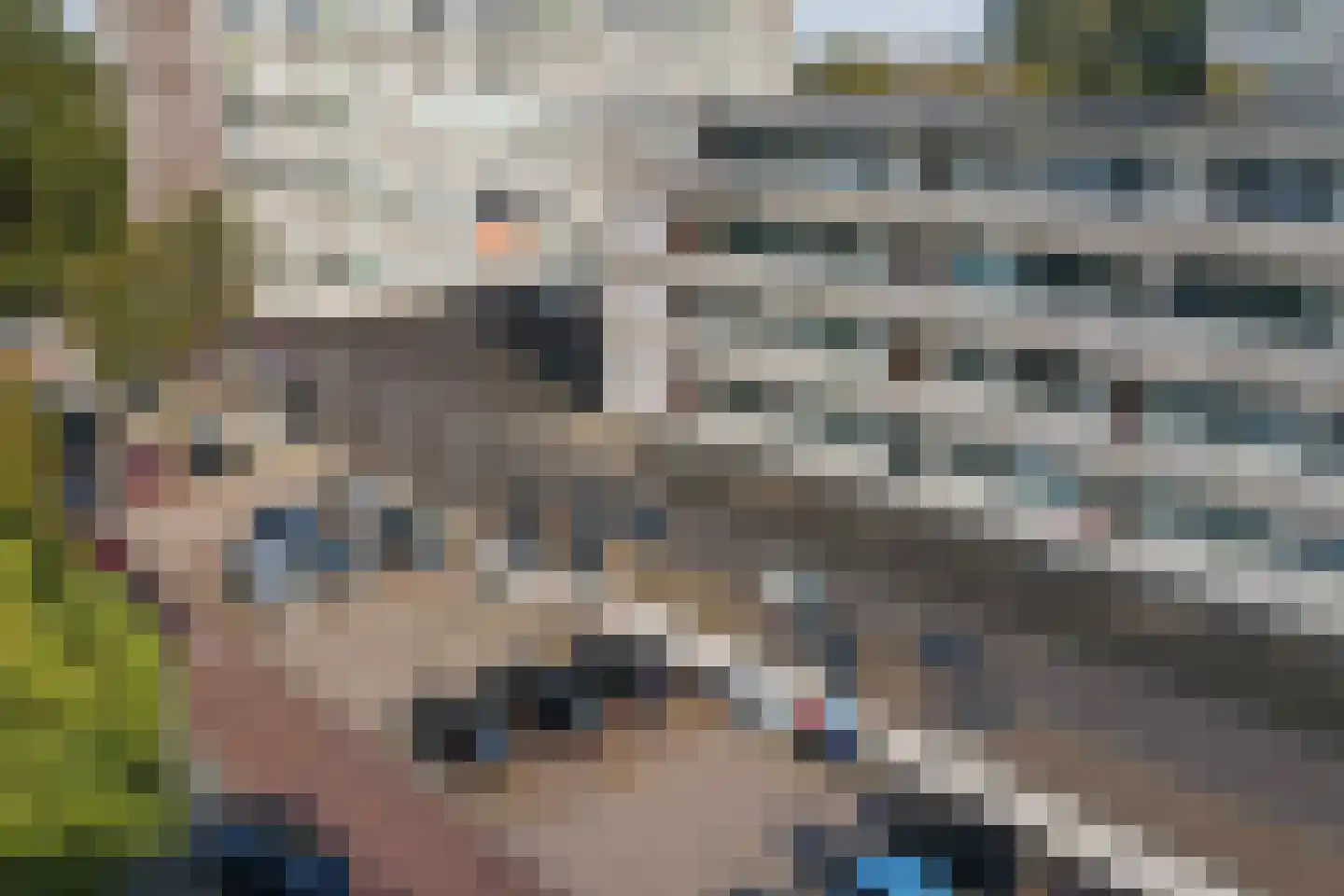 Van Ostadelaan 304 Alkmaar thumbnail 22