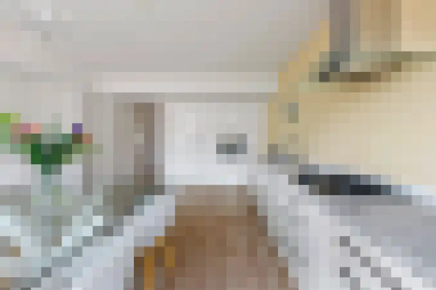 Van Ostadelaan 304 Alkmaar thumbnail 5