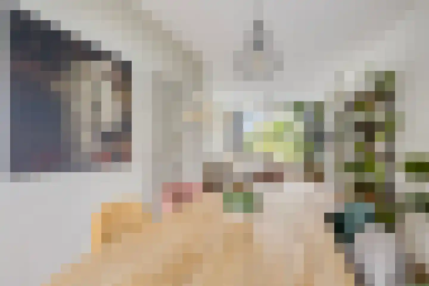 Van Ostadelaan 32 Alkmaar thumbnail 13