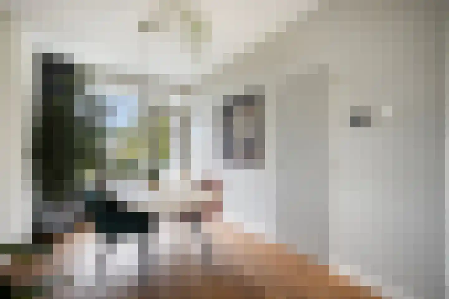 Van Ostadelaan 32 Alkmaar thumbnail 14