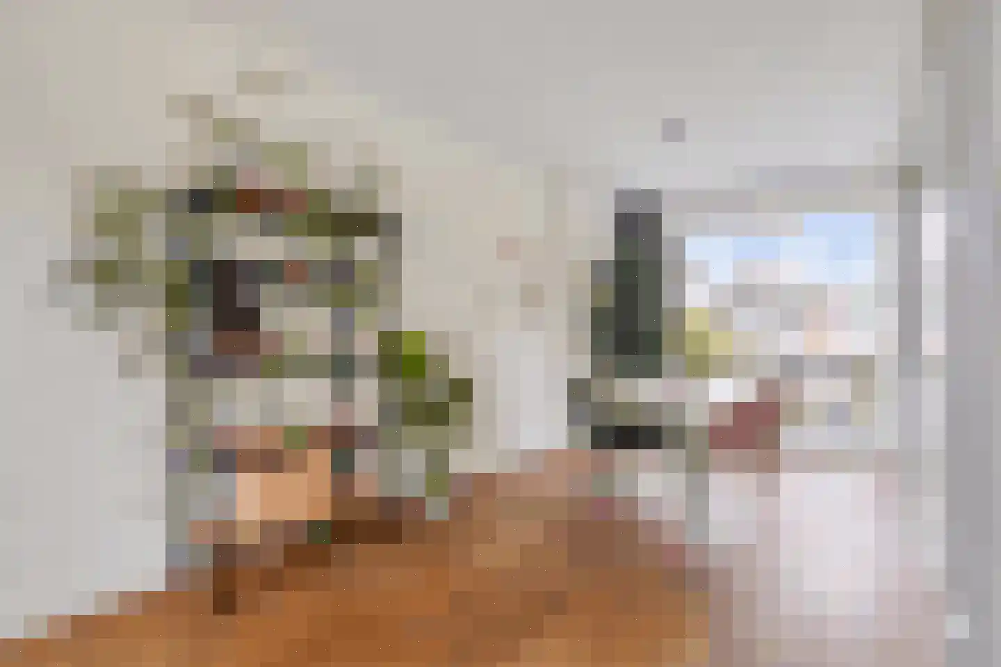 Van Ostadelaan 32 Alkmaar thumbnail 16