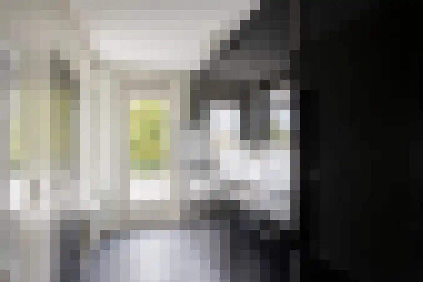 Van Ostadelaan 32 Alkmaar thumbnail 21