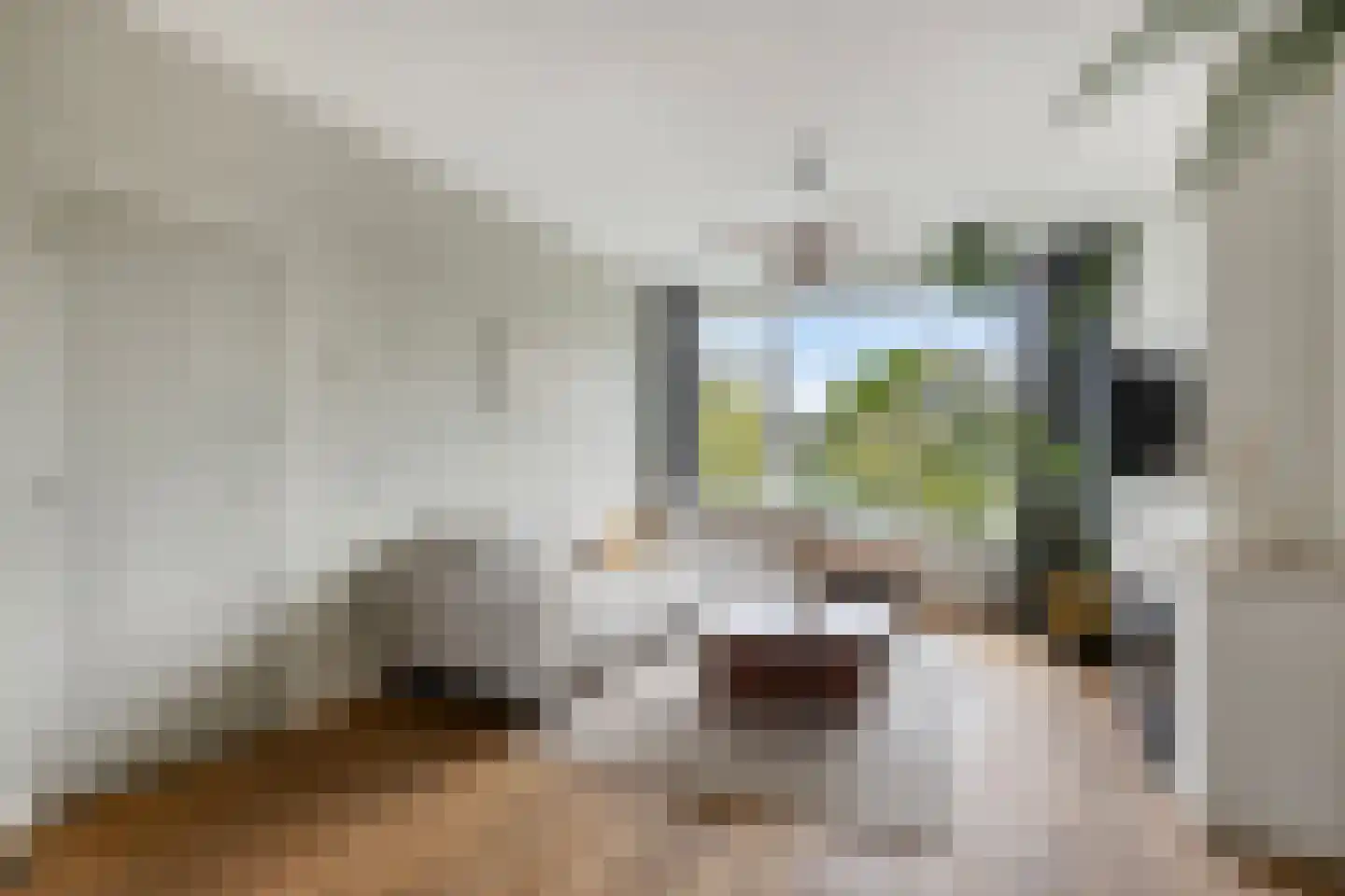 Van Ostadelaan 32 Alkmaar thumbnail 9