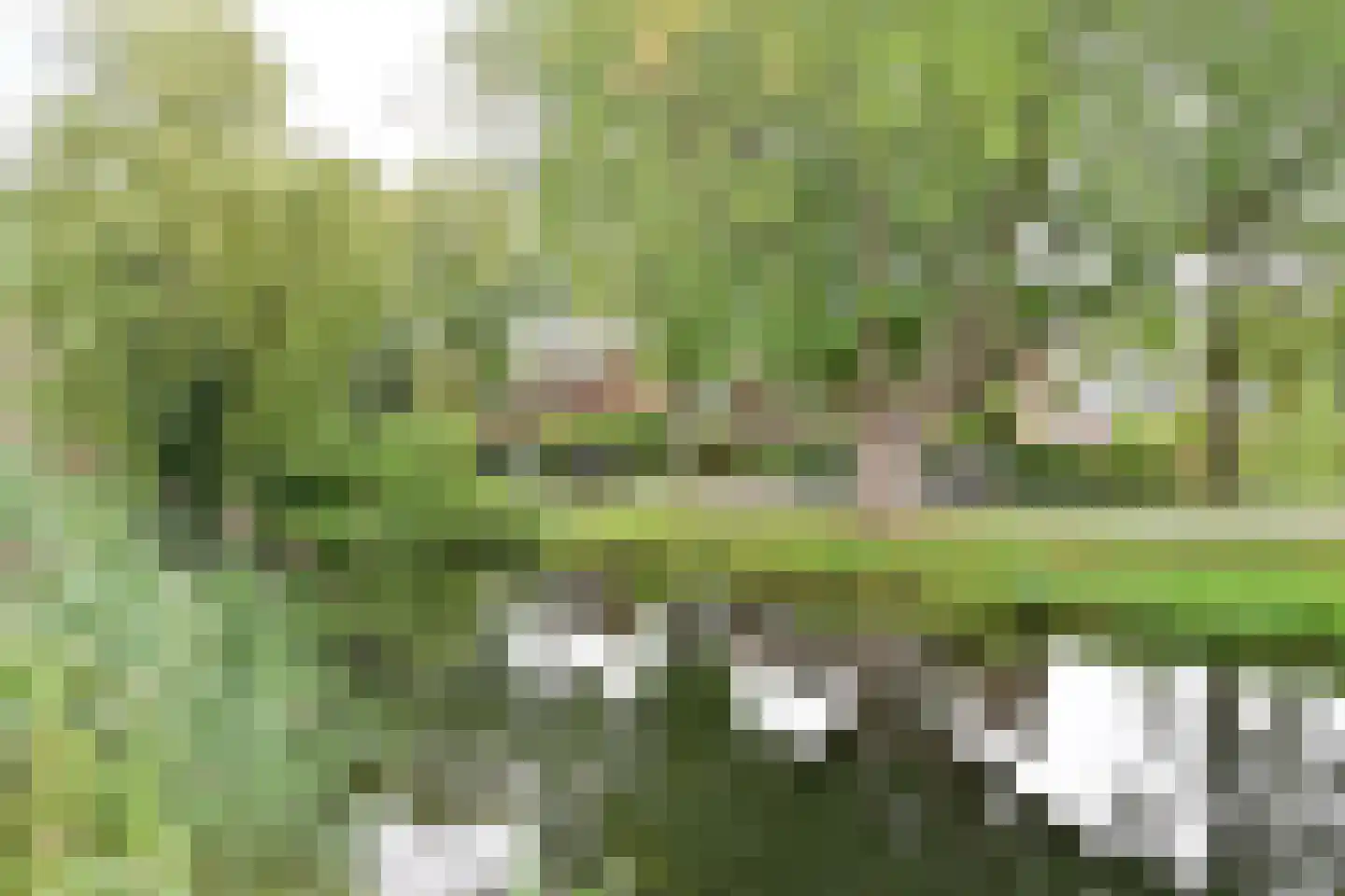 van Ostadelaan 34 Naarden thumbnail 33