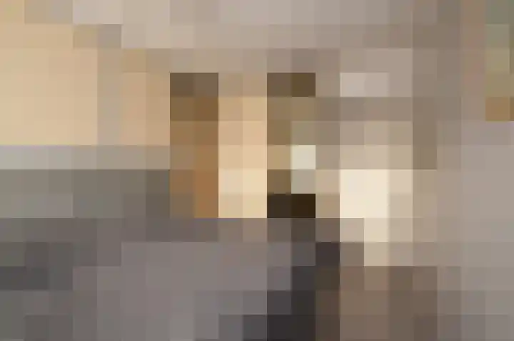 Van Ostadelaan 352 Alkmaar thumbnail 12