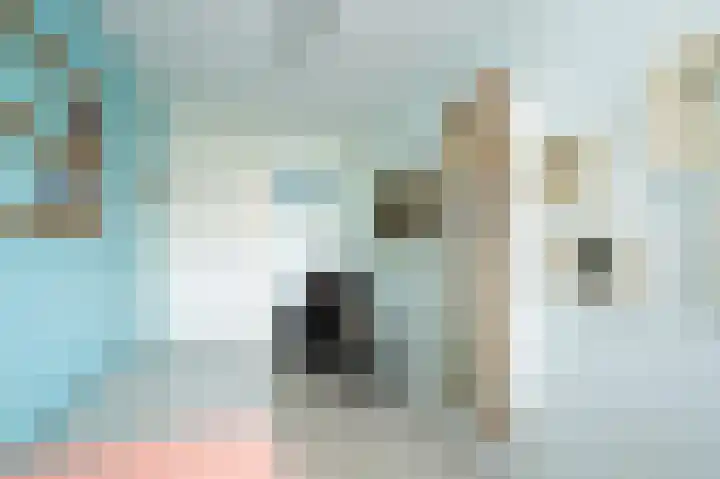 Van Ostadelaan 352 Alkmaar thumbnail 14