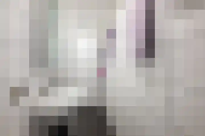Van Ostadelaan 352 Alkmaar thumbnail 17