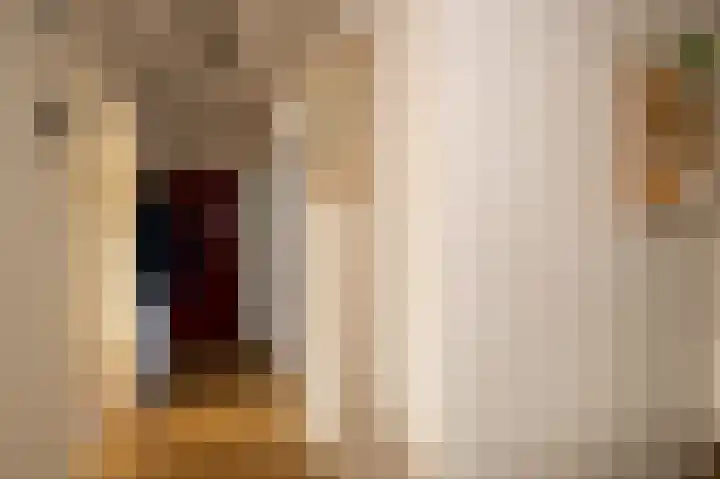 Van Ostadelaan 352 Alkmaar thumbnail 20