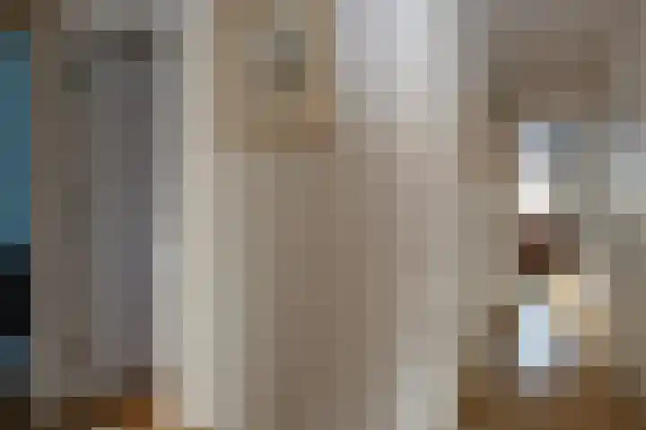 Van Ostadelaan 352 Alkmaar thumbnail 21