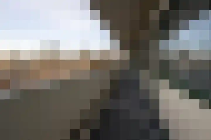 Van Ostadelaan 352 Alkmaar thumbnail 25