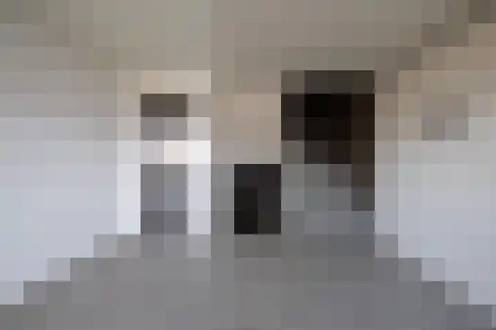 Van Ostadelaan 352 Alkmaar thumbnail 27