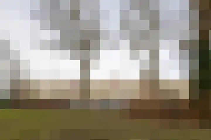 Van Ostadelaan 352 Alkmaar thumbnail 29
