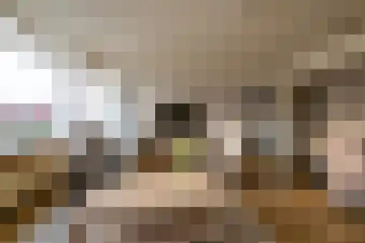 Van Ostadelaan 352 Alkmaar thumbnail 4