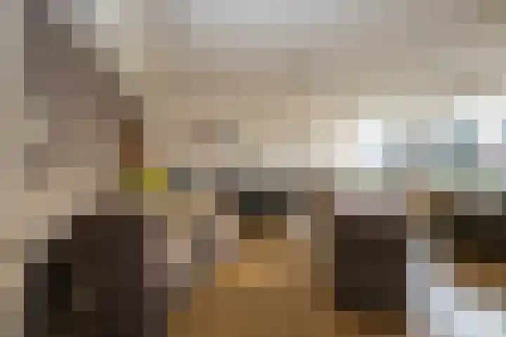 Van Ostadelaan 352 Alkmaar thumbnail 5