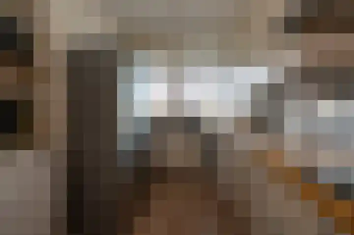 Van Ostadelaan 352 Alkmaar thumbnail 8