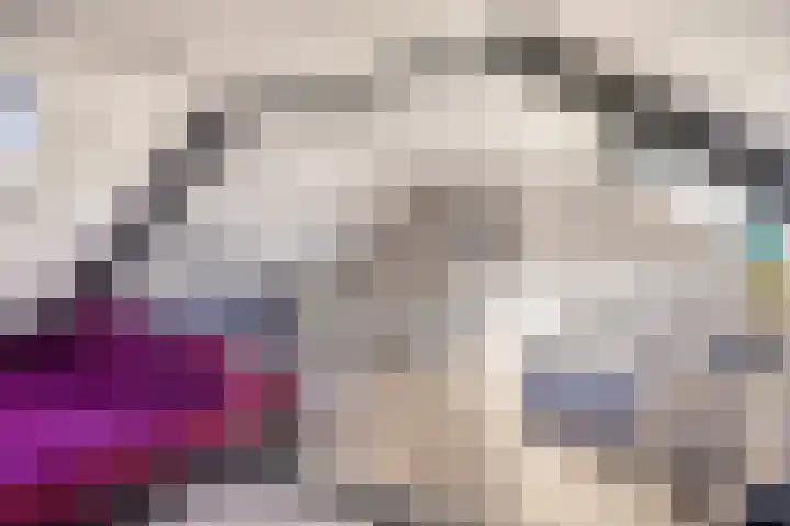 van Ostadelaan 36 Heerhugowaard thumbnail 36