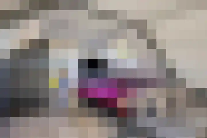 van Ostadelaan 36 Heerhugowaard thumbnail 38
