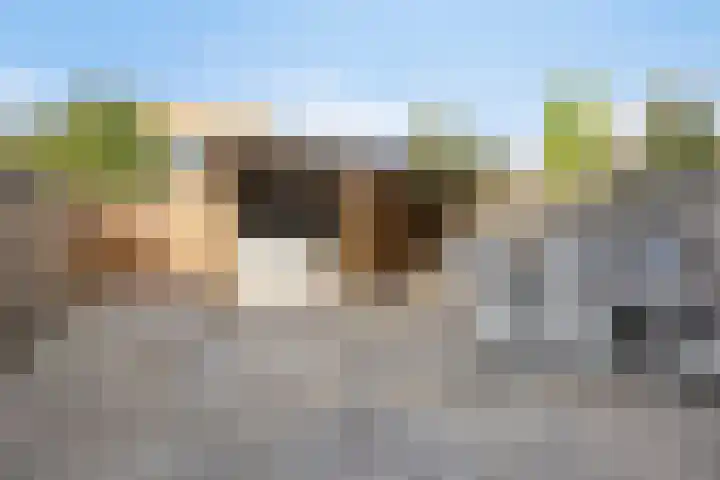 van Ostadelaan 36 Heerhugowaard thumbnail 40