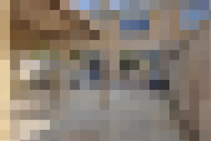 van Ostadelaan 36 Heerhugowaard thumbnail 41