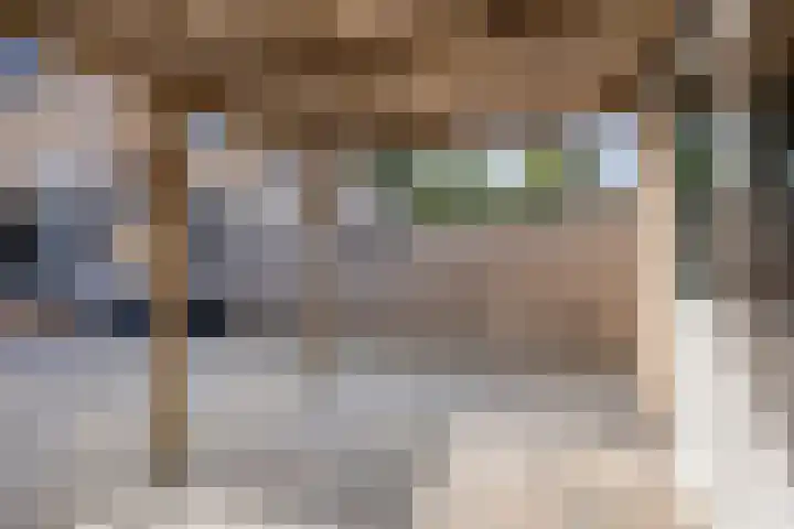 van Ostadelaan 36 Heerhugowaard thumbnail 42