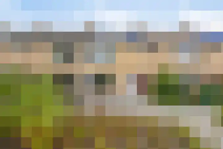 van Ostadelaan 36 Heerhugowaard thumbnail 9