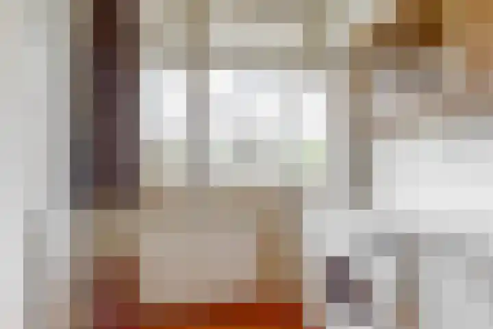 Van Ostadelaan 360 Alkmaar thumbnail 17