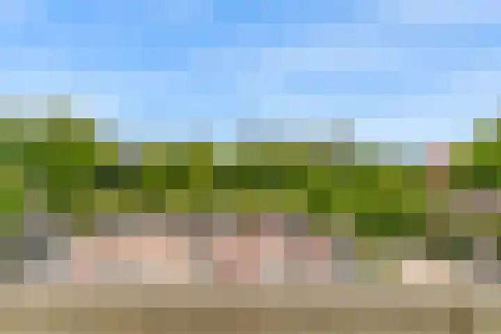 Van Ostadelaan 360 Alkmaar thumbnail 23