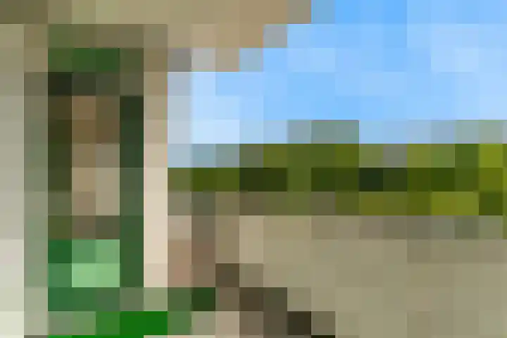 Van Ostadelaan 360 Alkmaar thumbnail 24