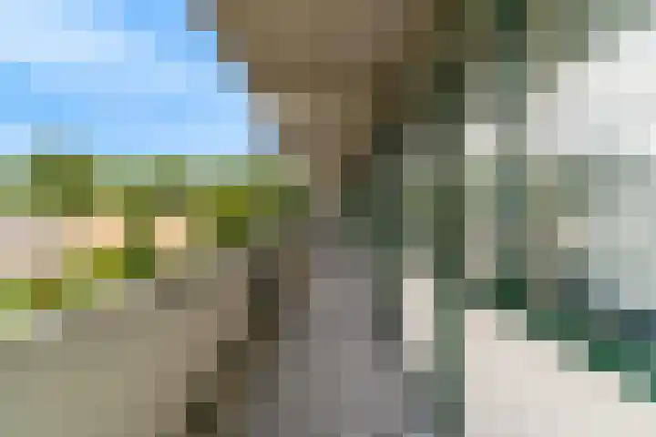 Van Ostadelaan 360 Alkmaar thumbnail 25