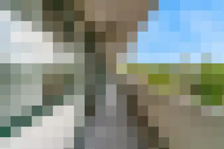 Van Ostadelaan 360 Alkmaar thumbnail 26