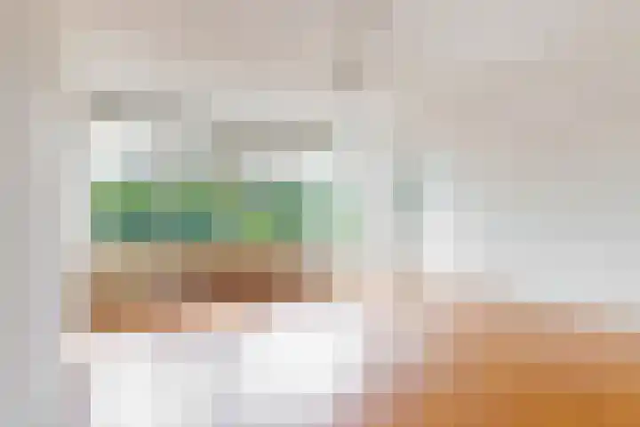Van Ostadelaan 360 Alkmaar foto 3