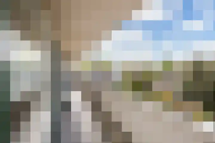 Van Ostadelaan 366 Alkmaar thumbnail 10