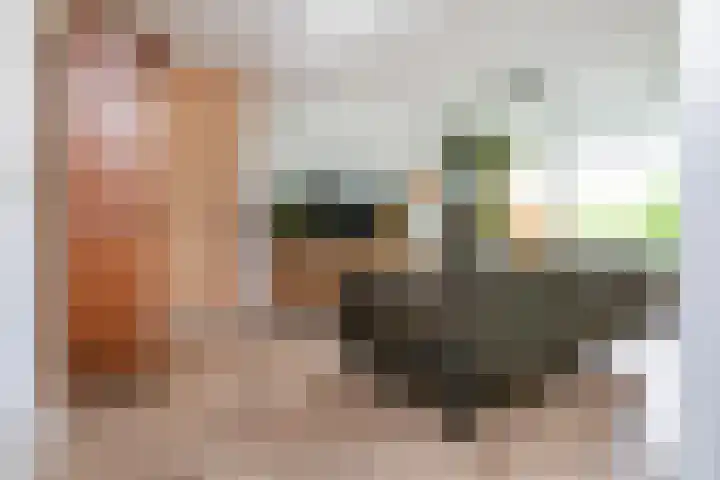 Van Ostadelaan 366 Alkmaar thumbnail 12