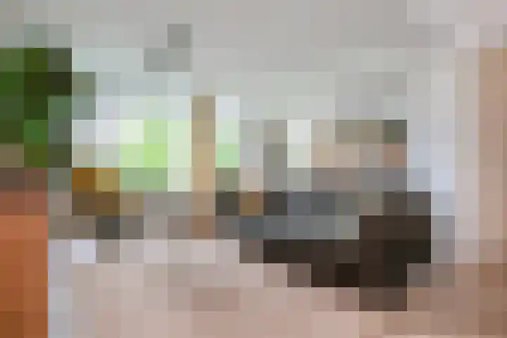 Van Ostadelaan 366 Alkmaar thumbnail 13