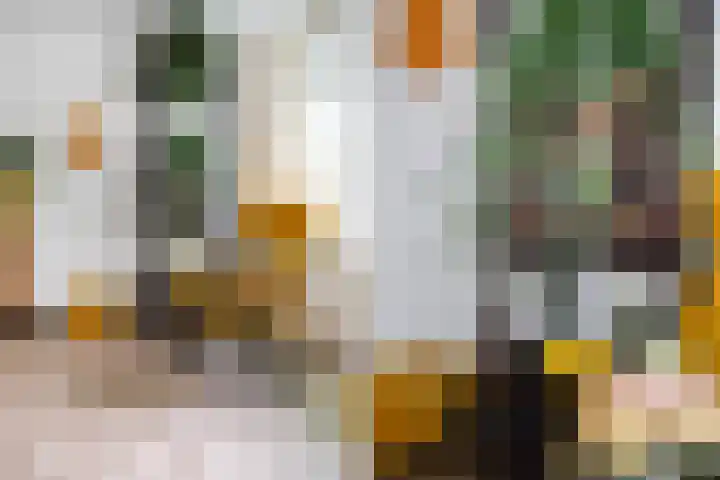 Van Ostadelaan 366 Alkmaar thumbnail 14