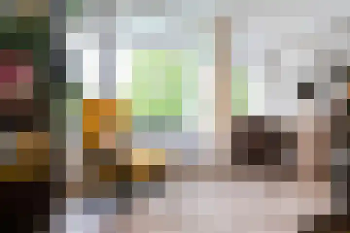 Van Ostadelaan 366 Alkmaar thumbnail 16