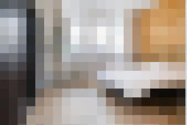 Van Ostadelaan 366 Alkmaar thumbnail 23