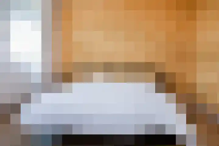 Van Ostadelaan 366 Alkmaar thumbnail 24