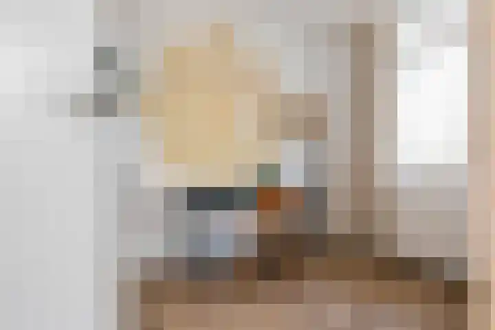 Van Ostadelaan 366 Alkmaar thumbnail 27