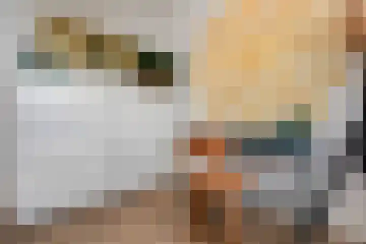 Van Ostadelaan 366 Alkmaar thumbnail 29