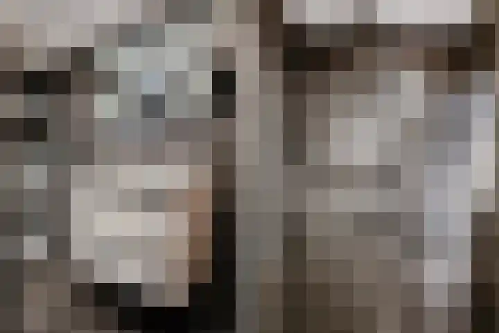 Van Ostadelaan 366 Alkmaar thumbnail 32