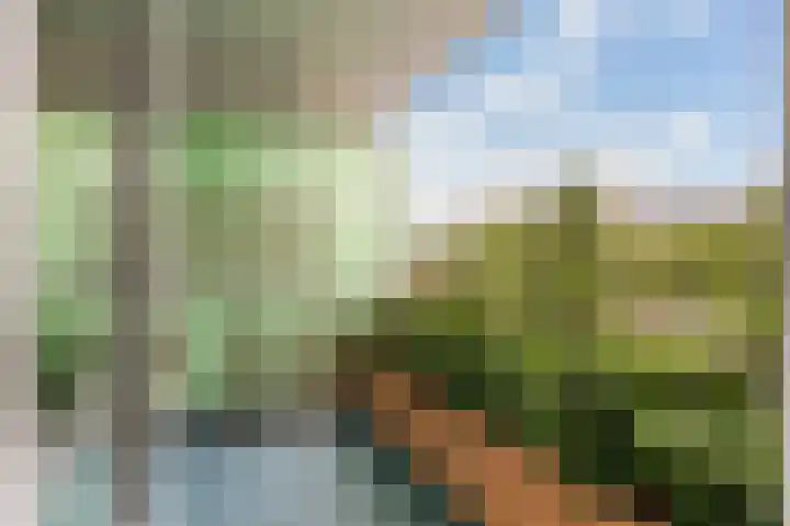 Van Ostadelaan 366 Alkmaar thumbnail 33