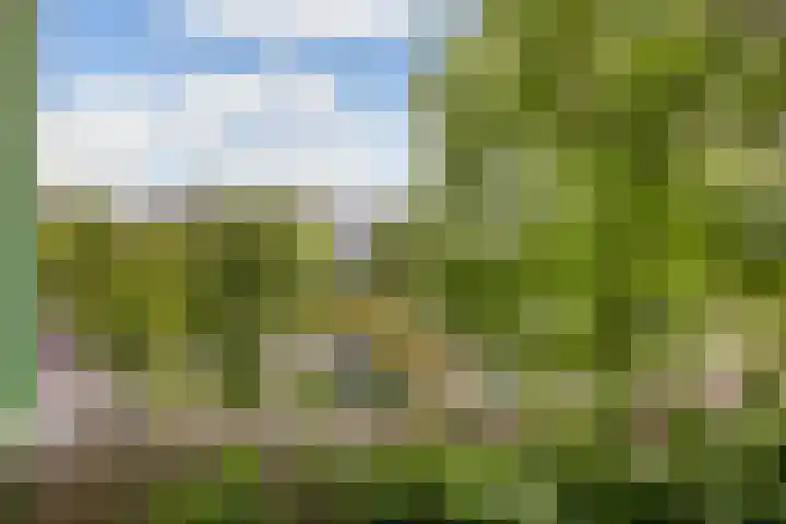 Van Ostadelaan 366 Alkmaar thumbnail 35